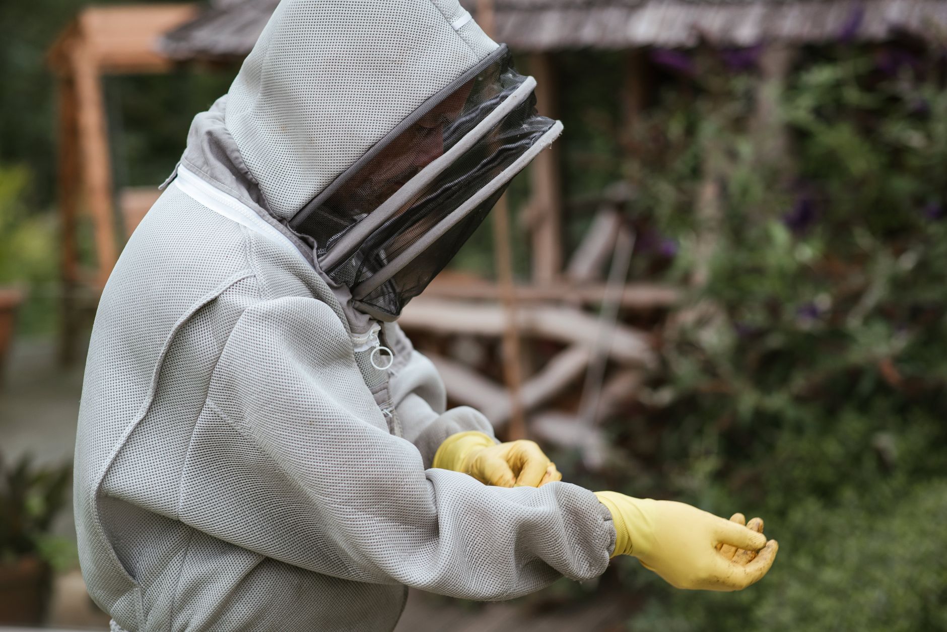 a beekeeper holding a clear jar with bees during a varroa mite test