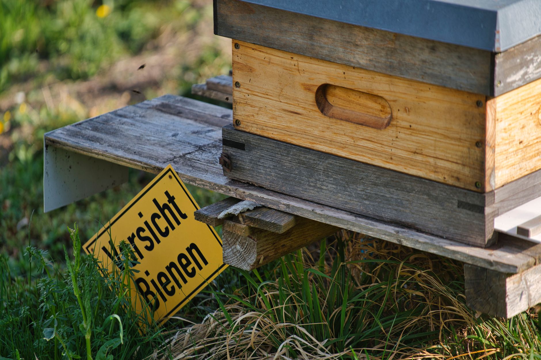 A Langstroth beehive placed on level ground in a sunny backyard with nearby flowers.