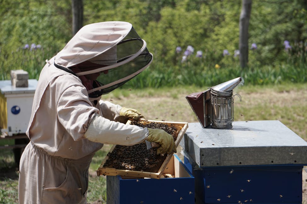 How to Start Beekeeping with No Experience (2026 Guide)